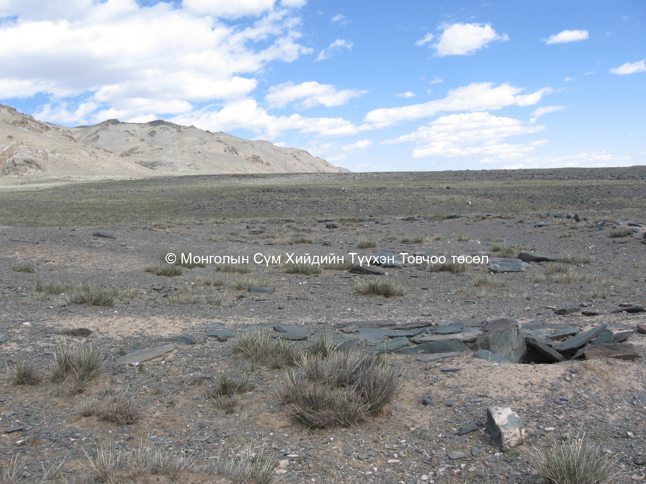 Баруун талаас авсан